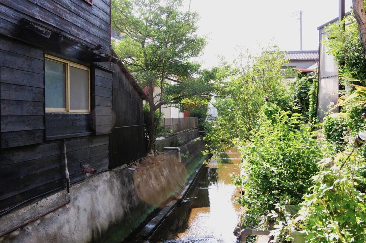 宿たぬきのねどこ Guesthouse Tanuki Tokoname Exterior foto